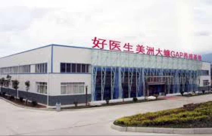 Why do they breed six billion cockroaches a year on a giant farm in China Why do they breed six billion cockroaches a year on a giant farm in China