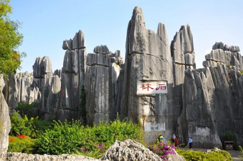 Wonders of the world: stone forest in Shilin, China Wonders of the world: stone forest in Shilin, China
