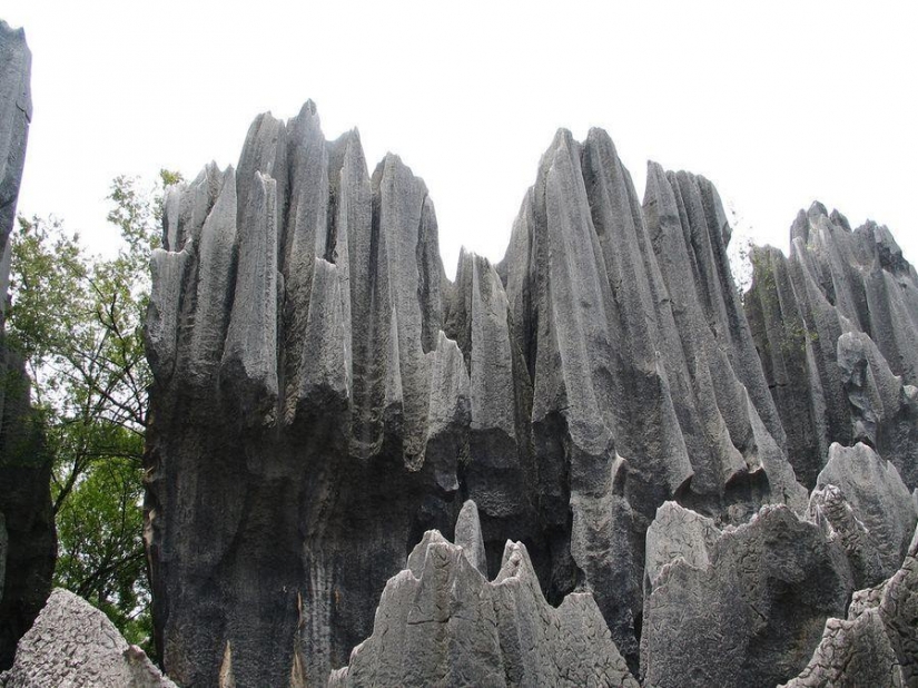 Wonders of the world: stone forest in Shilin, China Wonders of the world: stone forest in Shilin, China
