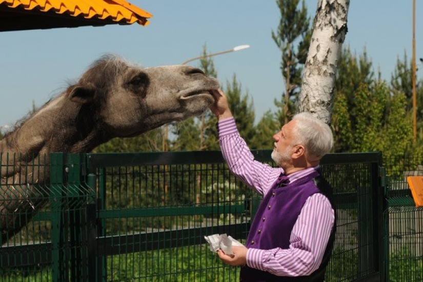 Zona de juegos infantil, un zoológico, un placer entrenador, y otros de entretenimiento Novosibirsk crematorio