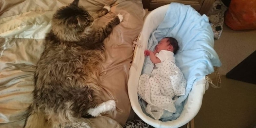 10 abnormally large animals