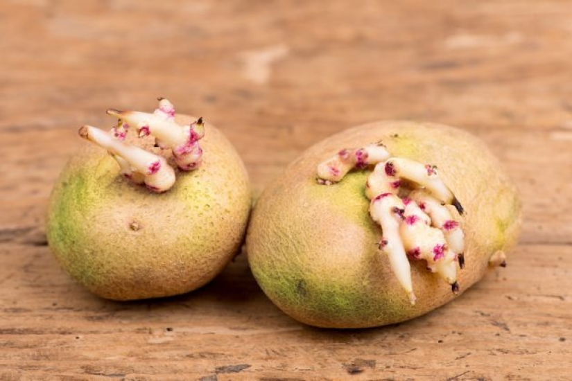 10 alimentos saludables que pueden hacerte daño si no los comes mal