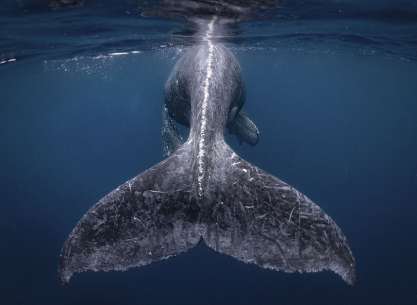 10 amazing photos of the winners of the National Geographic Travel Photographer 2018 contest