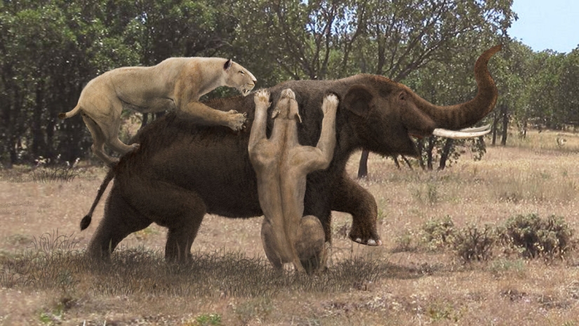 10 animals that have become extinct — fortunately for humans 10 animals that have become extinct — fortunately for humans