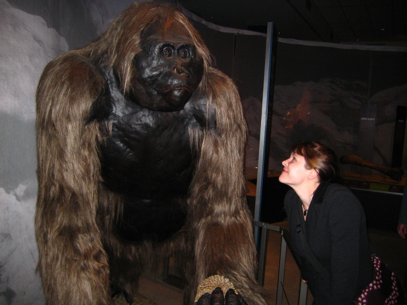 10 animals that have become extinct — fortunately for humans 10 animals that have become extinct — fortunately for humans