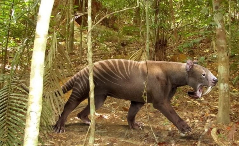 10 animals that have become extinct — fortunately for humans 10 animals that have become extinct — fortunately for humans