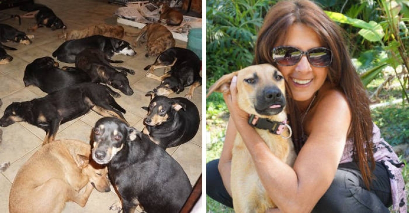 10 buenas historias de 2019 que restaurarán su fe en la humanidad 10 buenas historias de 2019 que restaurarán su fe en la humanidad