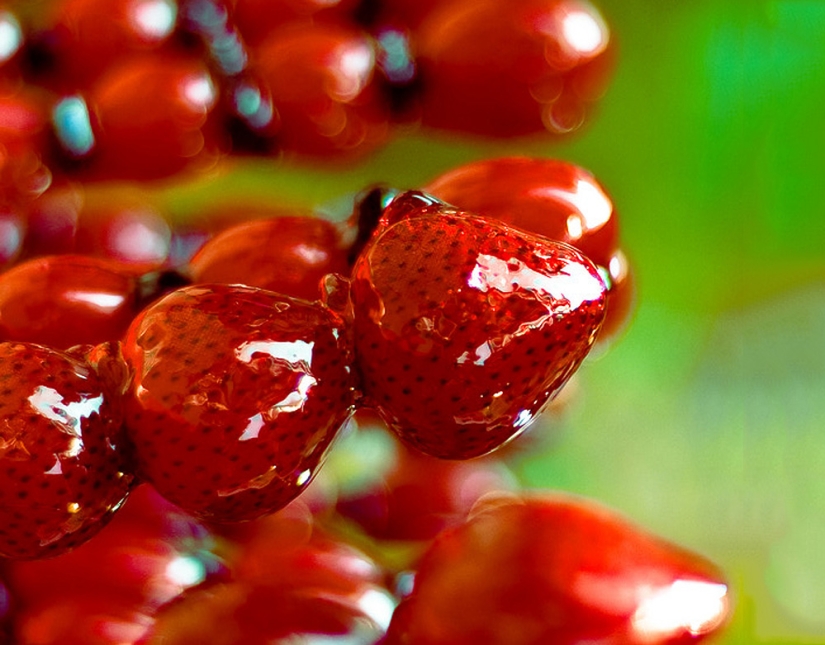 10 datos sobre los dulces