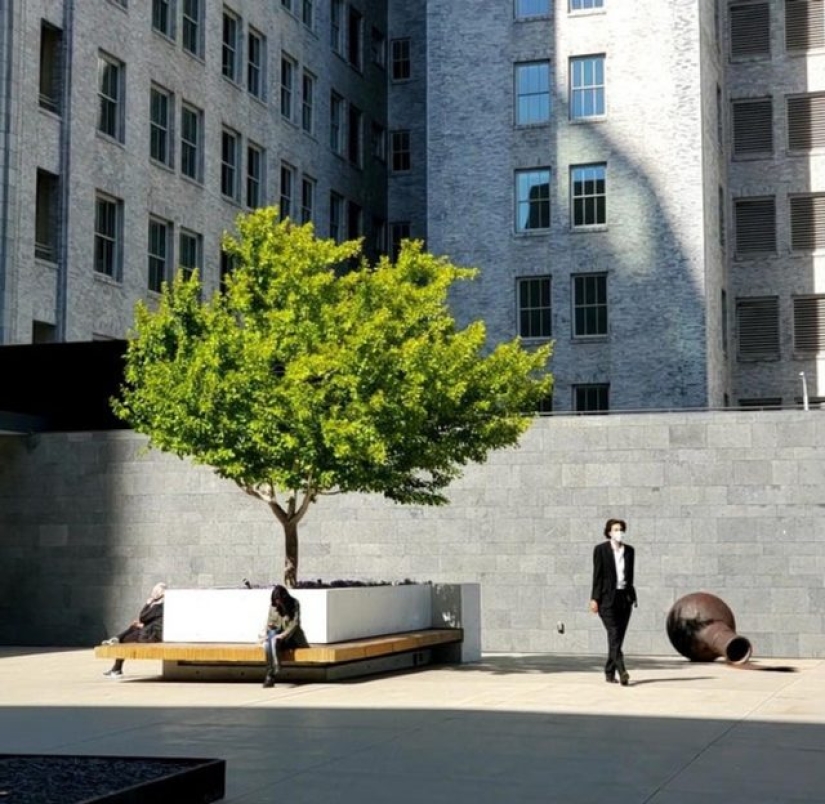 10 eventos diarios que han sido inmortalizados de una manera única