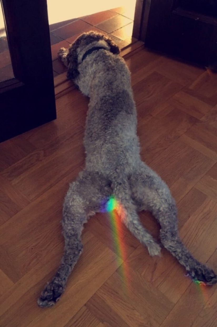 10 eventos diarios que han sido inmortalizados de una manera única