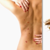 10 facts that testify to the very unexpected aspects of the world 10 facts that testify to the very unexpected aspects of the world