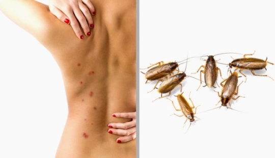 10 facts that testify to the very unexpected aspects of the world