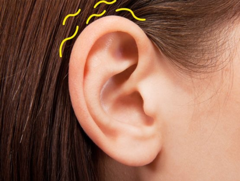 10 facts that testify to the very unexpected aspects of the world