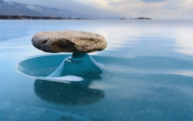 10 fascinating photos of rare things