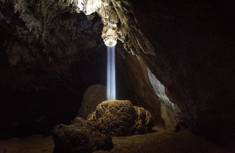 10 fascinating photos of rare things