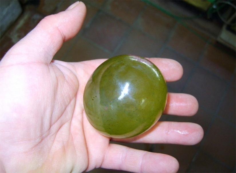 10 fascinating photos of rare things