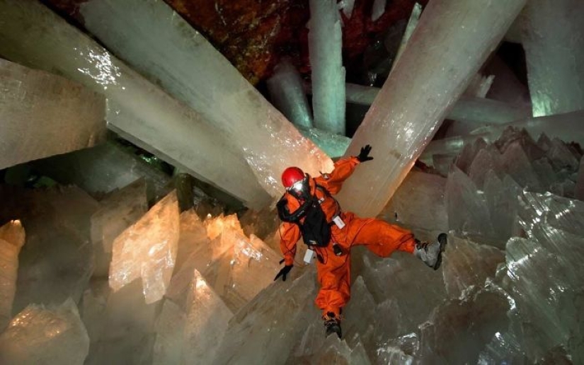 10 fascinating photos of rare things