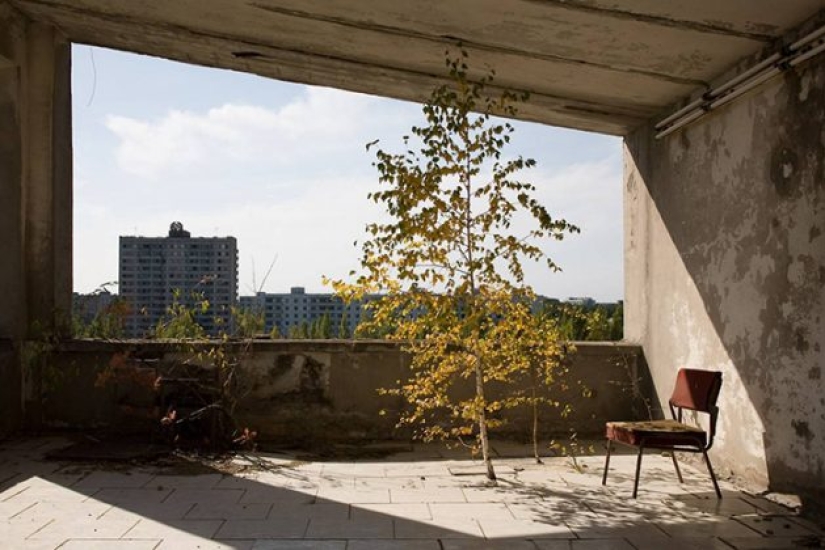 10 fotos de la naturaleza que le ganó la batalla a la civilización en la zona de exclusión alrededor de Chernobyl 10 fotos de la naturaleza que le ganó la batalla a la civilización en la zona de exclusión alrededor de Chernobyl