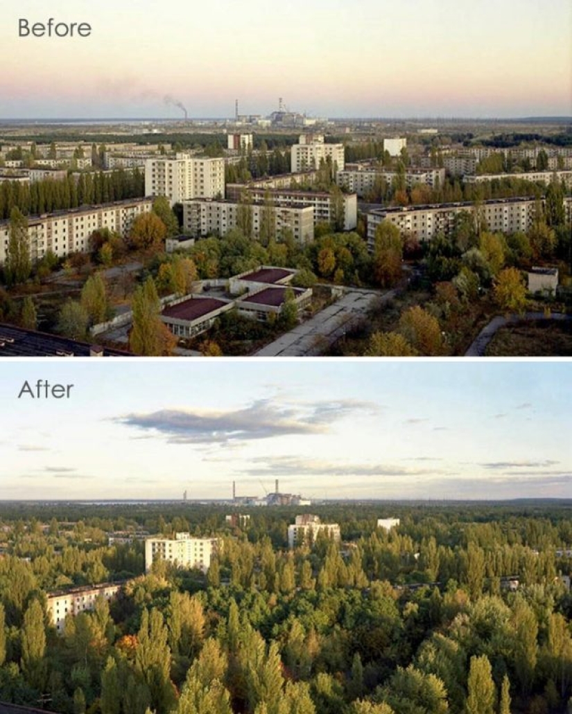 10 fotos de la naturaleza que le ganó la batalla a la civilización en la zona de exclusión alrededor de Chernobyl 10 fotos de la naturaleza que le ganó la batalla a la civilización en la zona de exclusión alrededor de Chernobyl