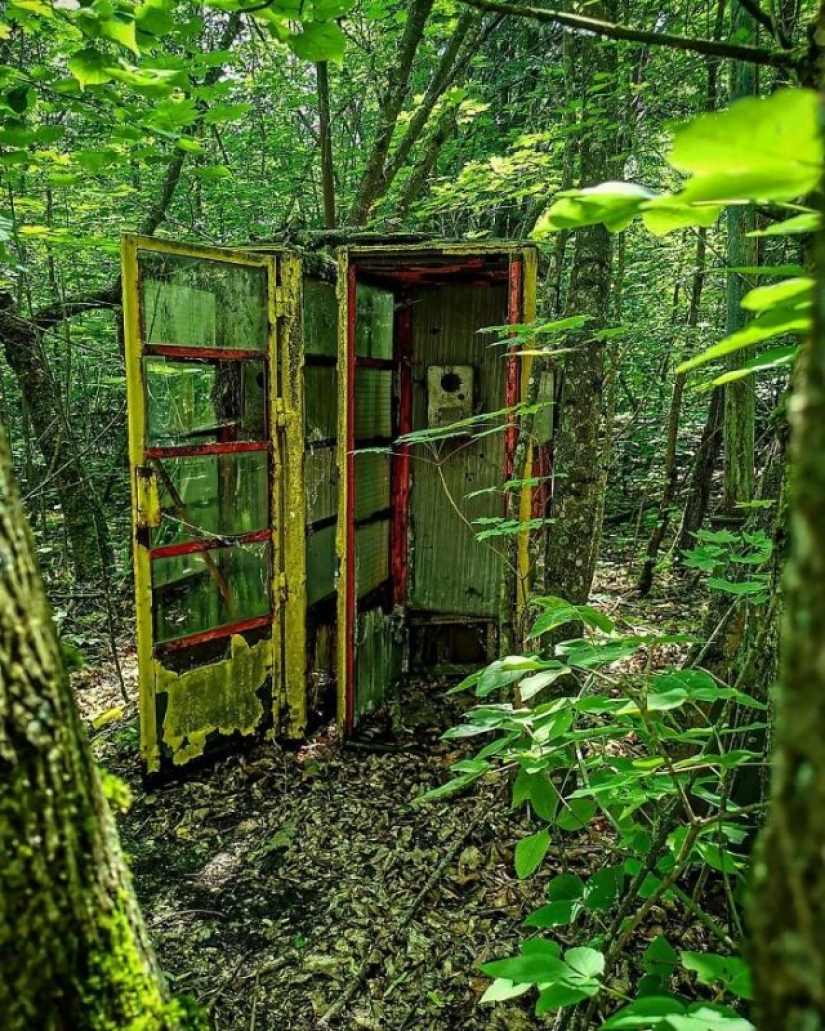 10 fotos de la naturaleza que le ganó la batalla a la civilización en la zona de exclusión alrededor de Chernobyl 10 fotos de la naturaleza que le ganó la batalla a la civilización en la zona de exclusión alrededor de Chernobyl