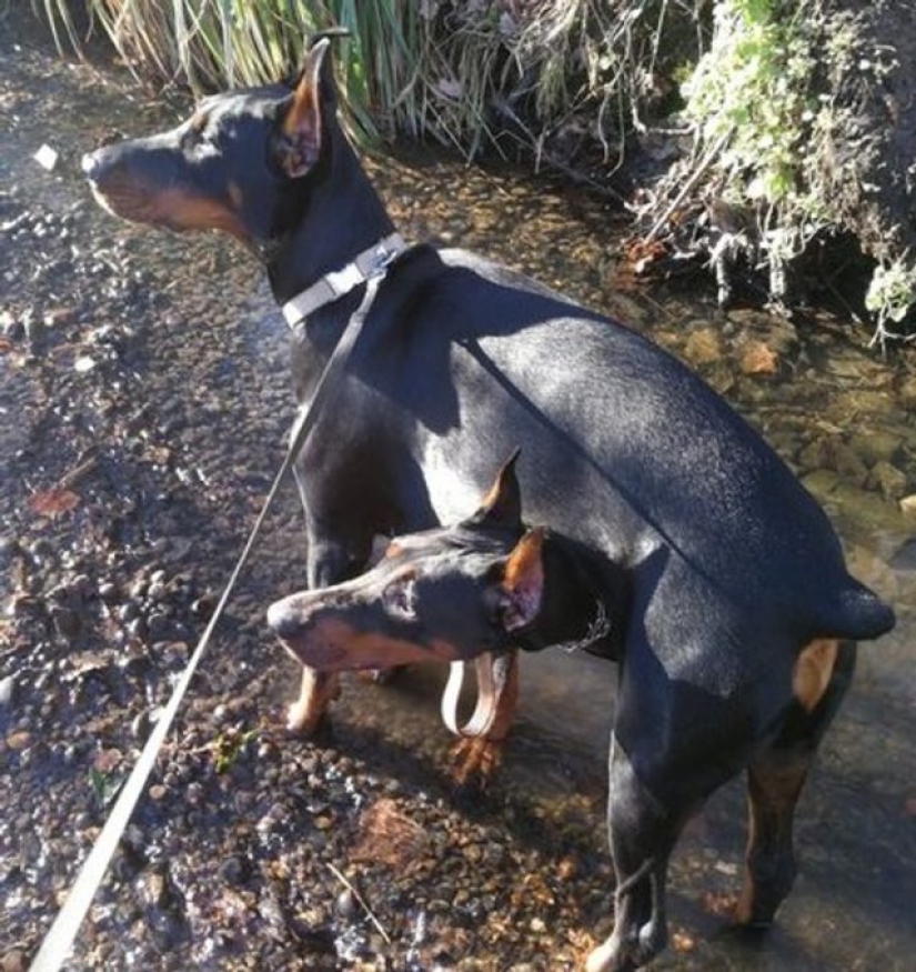 10 fotos que jugaron un juego con nuestra mente 10 fotos que jugaron un juego con nuestra mente