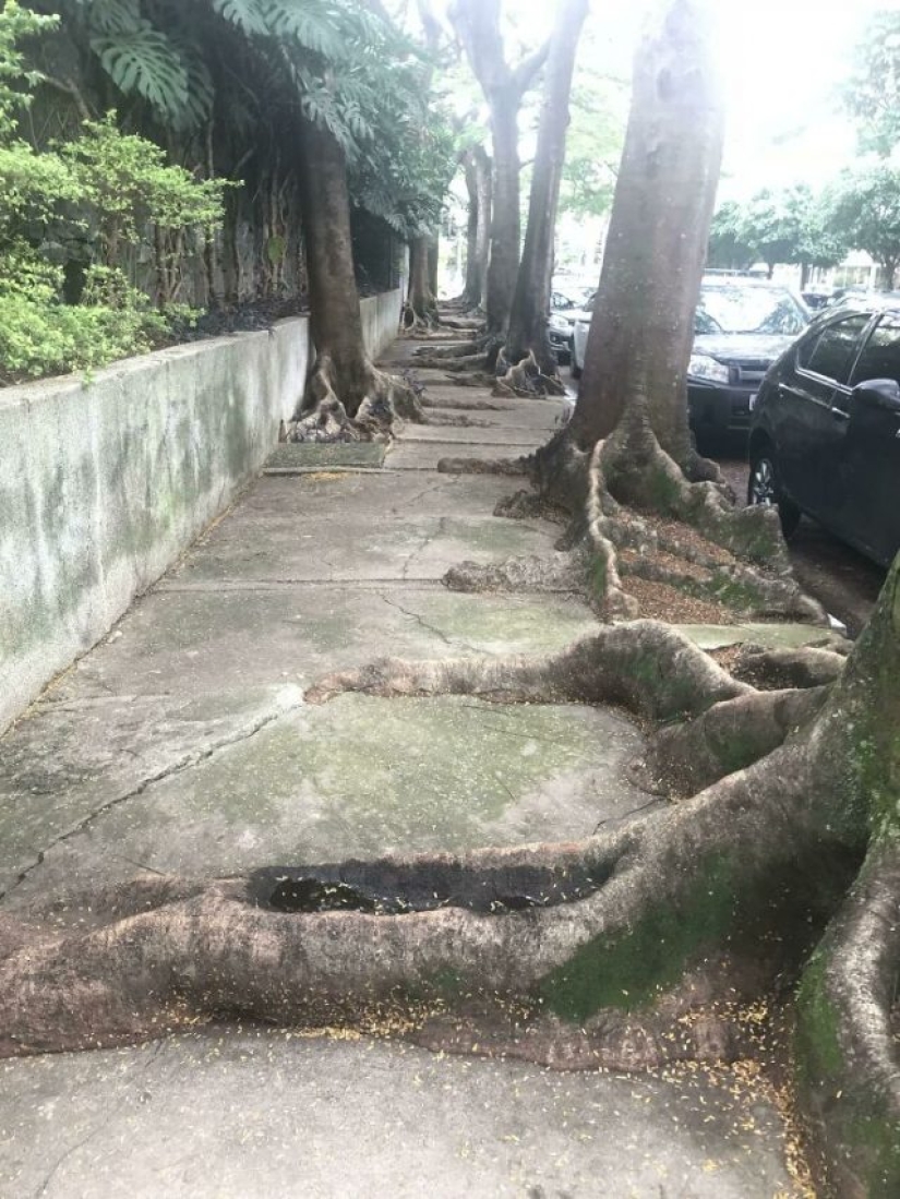 10 fotos que prueban que Brasil es diferente a cualquier otro país