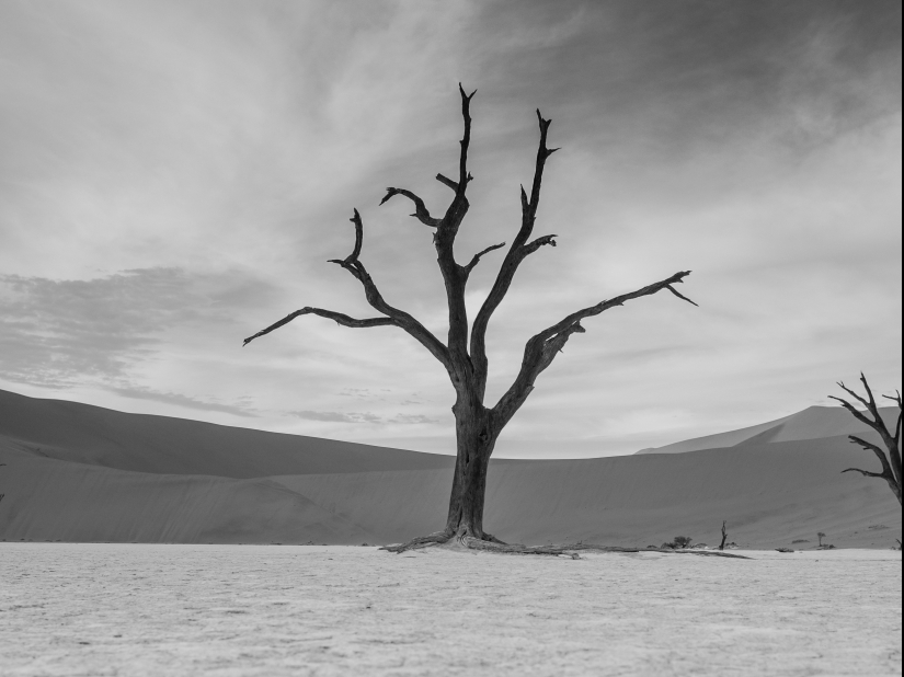 10 fotos que te harán querer visitar Namibia