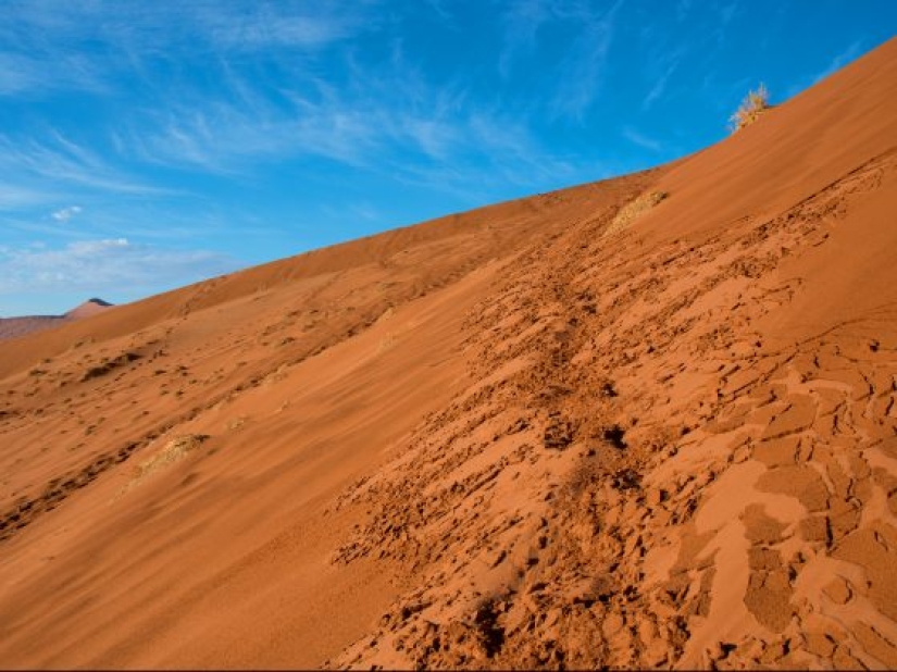 10 fotos que te harán querer visitar Namibia