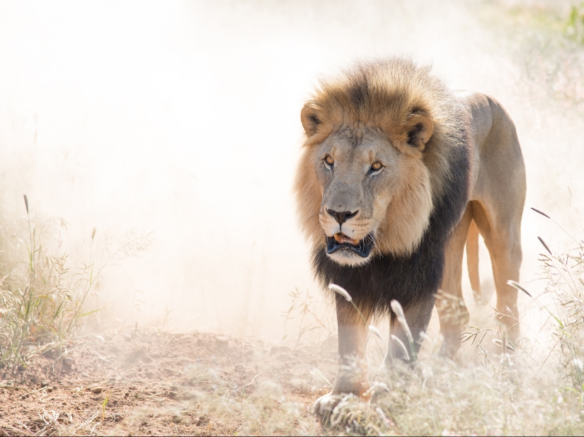 10 fotos que te harán querer visitar Namibia