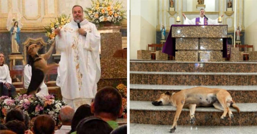 10 good stories from 2019 that will restore your faith in humanity