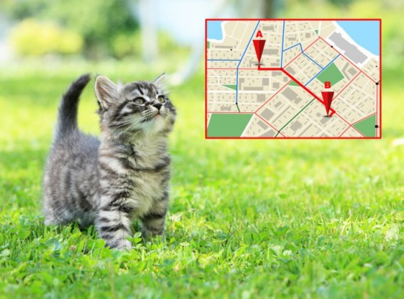 10 hechos que atestiguan aspectos muy inesperados del mundo