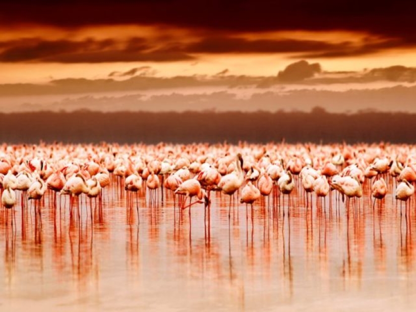 10 impresionantes maravillas naturales que todos deberían ver en su vida