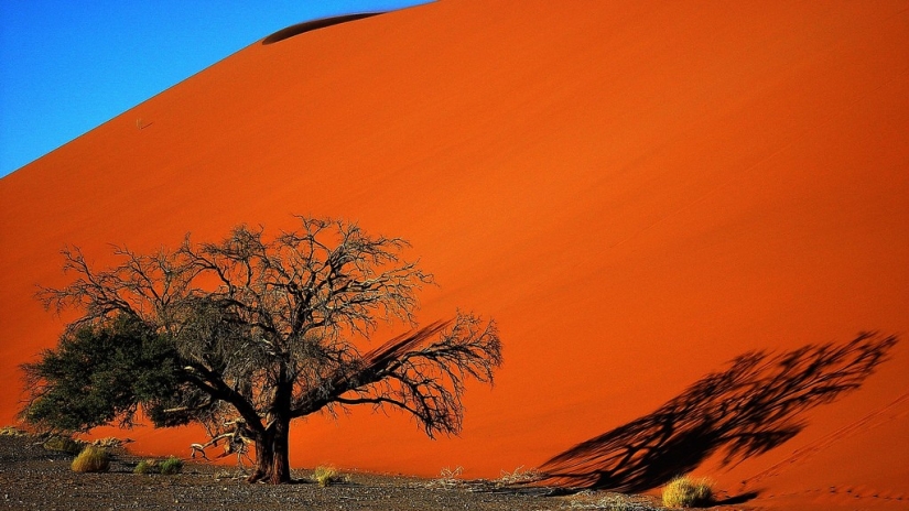 10 lugares donde sentirás la grandeza de la naturaleza