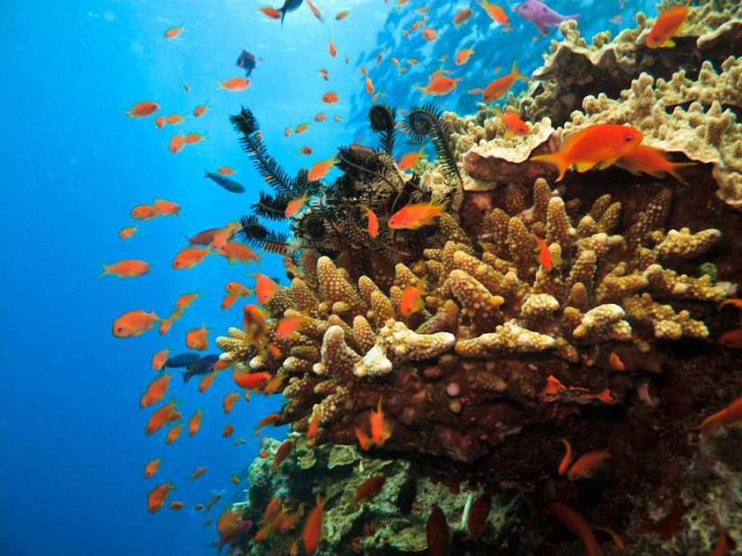 10 maravillas naturales más impresionantes 10 maravillas naturales más impresionantes