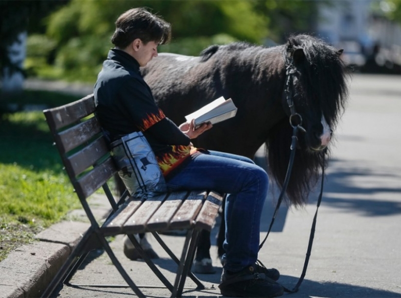 10 mascotas más inusuales