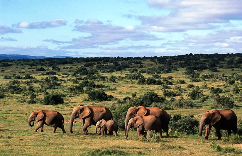 10 mejores lugares para visitar en Sudáfrica