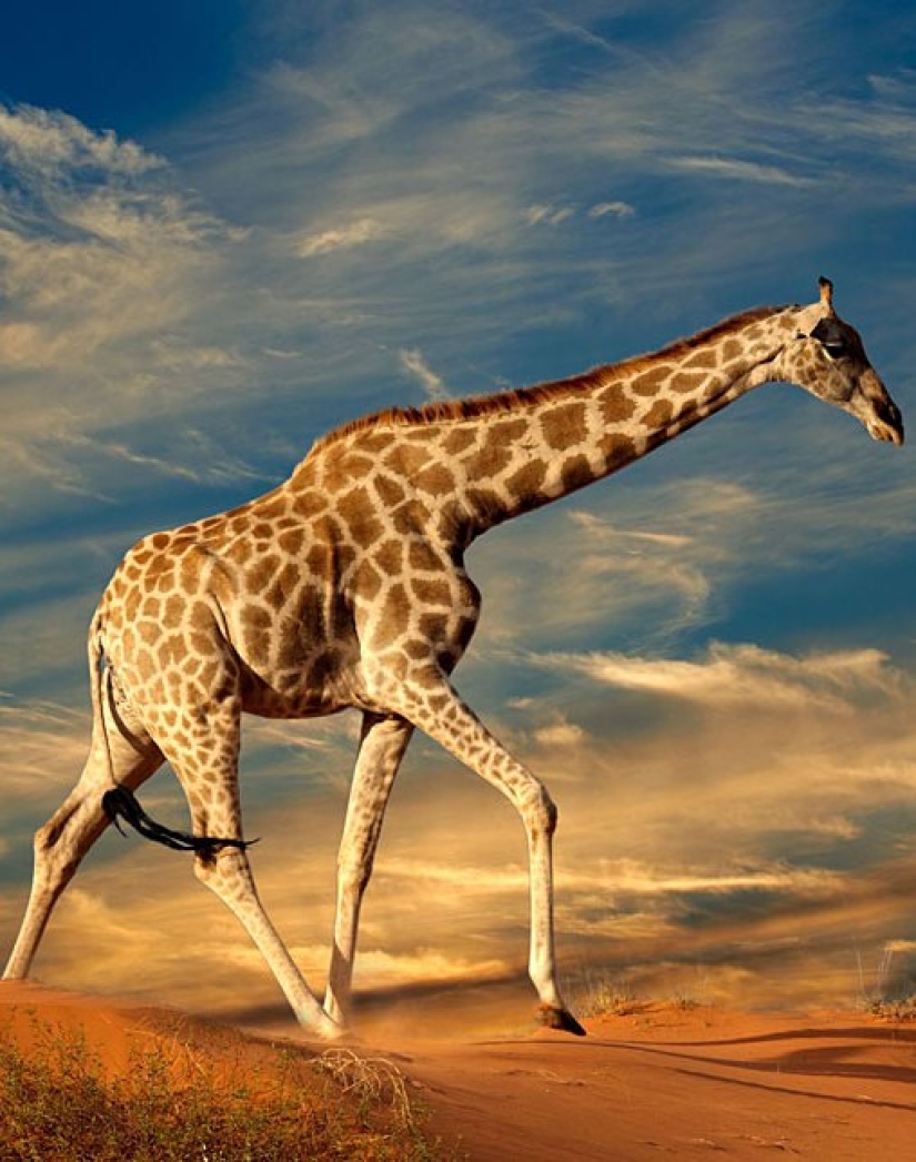 10 mejores lugares para visitar en Sudáfrica