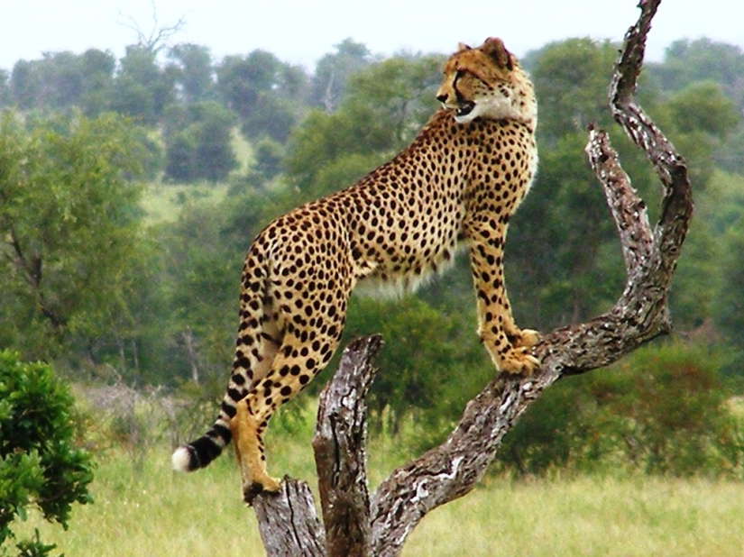 10 mejores lugares para visitar en Sudáfrica