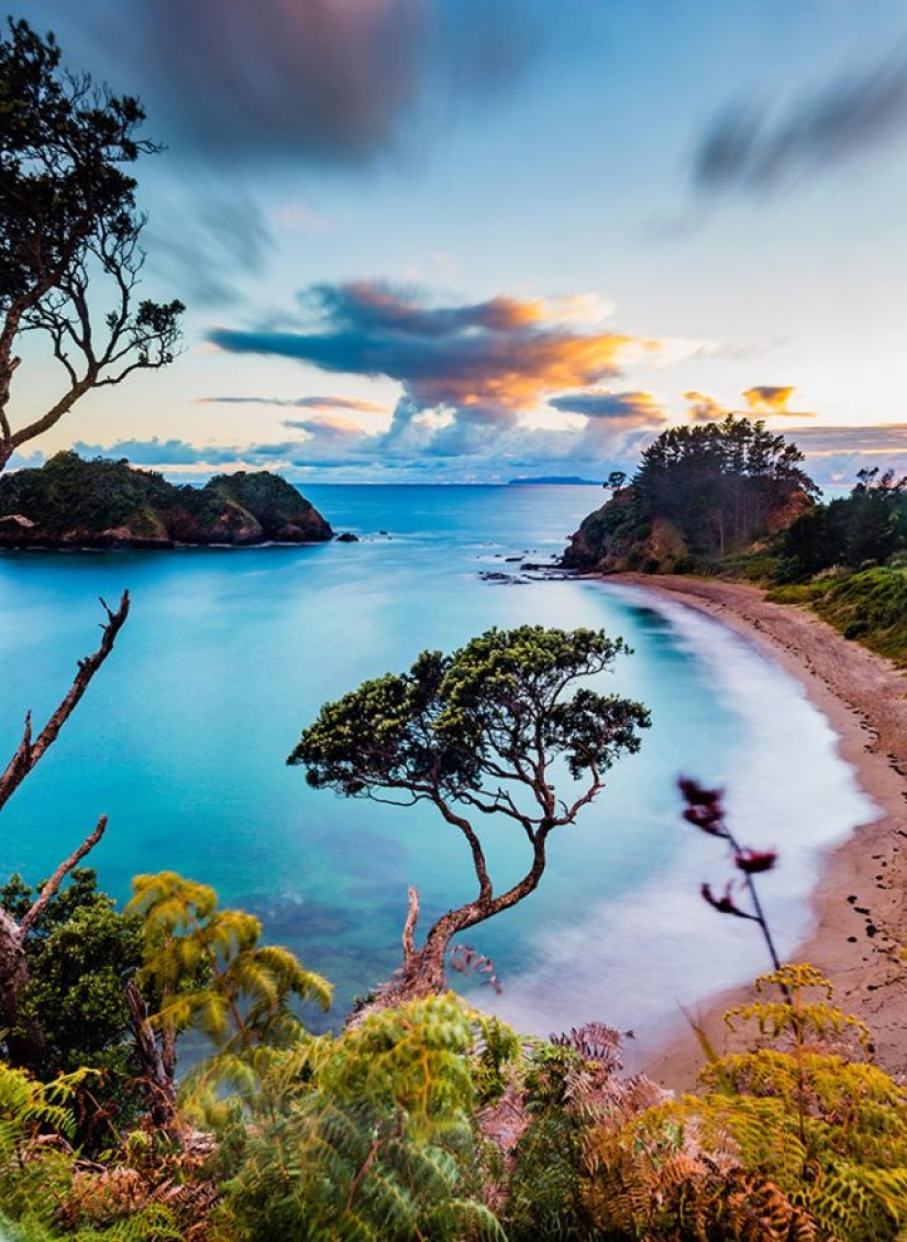 10 most amazing places to visit in New Zealand
