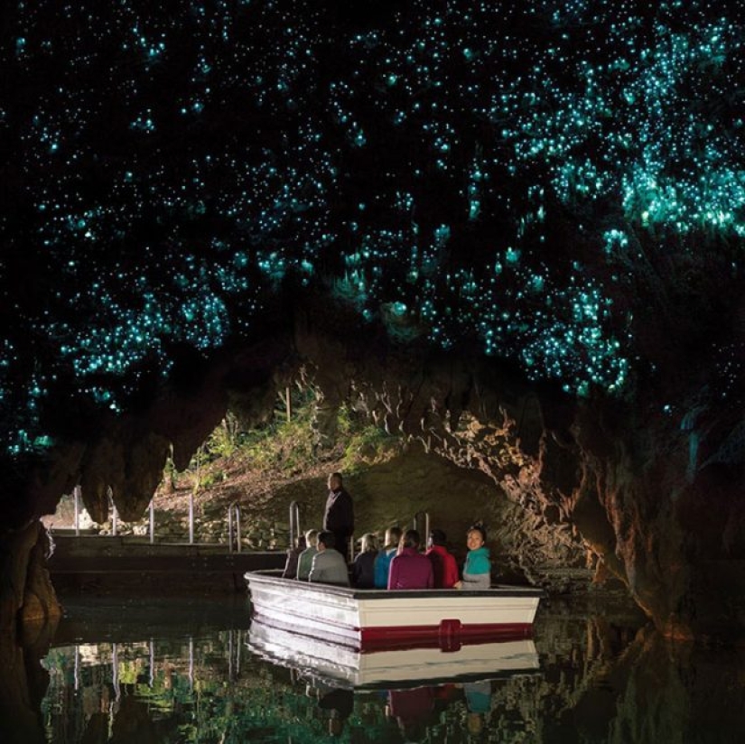 10 most amazing places to visit in New Zealand