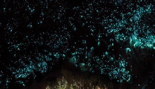 10 most amazing places to visit in New Zealand