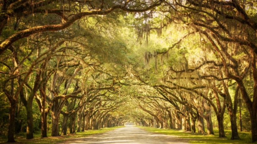 10 most beautiful cities in the US to visit 10 most beautiful cities in the US to visit