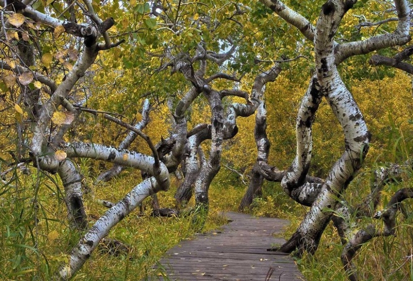 10 paisajes como de otro planeta