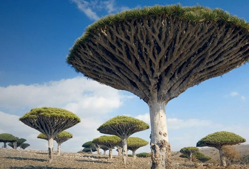 10 paisajes como de otro planeta
