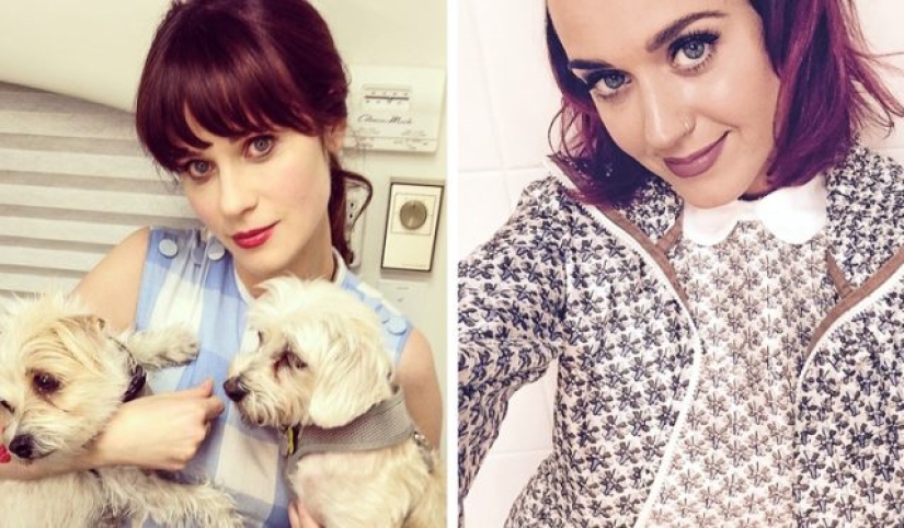 10 parejas de celebridades que son tan parecidas que es sorprendente que no sean de la misma familia