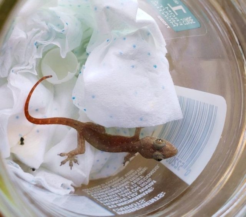 10 People Who Proudly Showed How Reality Exceeded Their Expectations