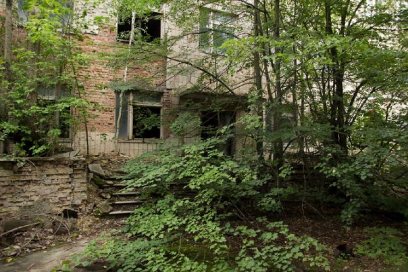 10 photos of nature that won the battle with civilization in the exclusion zone around Chernobyl 10 photos of nature that won the battle with civilization in the exclusion zone around Chernobyl