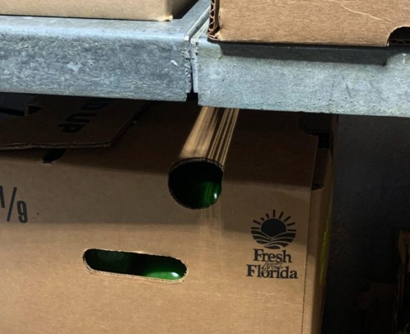 10 photos that played a game with our minds 10 photos that played a game with our minds