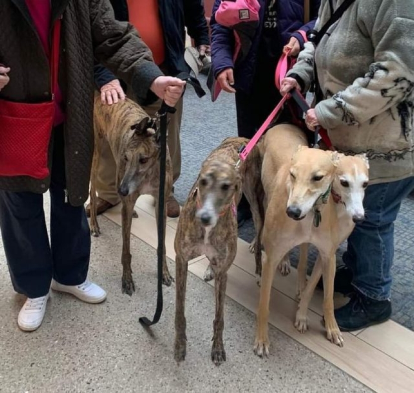 10 photos that played a game with our minds 10 photos that played a game with our minds