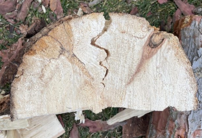 10 photos that played a game with our minds 10 photos that played a game with our minds